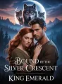Bound By The Silver Crescent cover