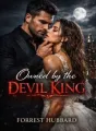 Owned by the Devil King cover
