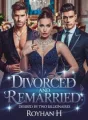 Divorced and Remarried:Desired by Two Billionaires  cover