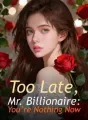 Too Late,Mr.Billionaire:You're Nothing Now cover