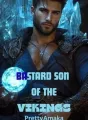 BASTARD SON OF THE VIKINGS cover