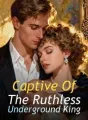 Captive Of The Ruthless Underground King cover
