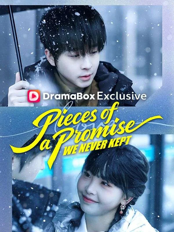 Pieces of a Promise We Never Kept cover
