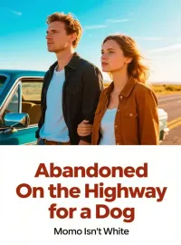 Abandoned On the Highway for a Dog