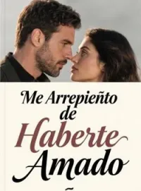 Me Arrepiento de Haberte Amado