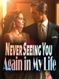 Never Seeing You Again in My Life