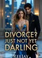 Divorce? Just Not Yet Darling cover