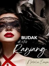 Budak di atas Ranjang