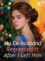 My Ex-husband Regretted it After I Left Him cover