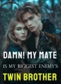 Damn! My Mate Is My Biggest Enemy's Twin Brother cover