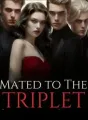 Mated to The Triplet Stepbrothers Bullies cover