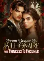 From Beggar To Billionaire, From Princess To Prisoner cover