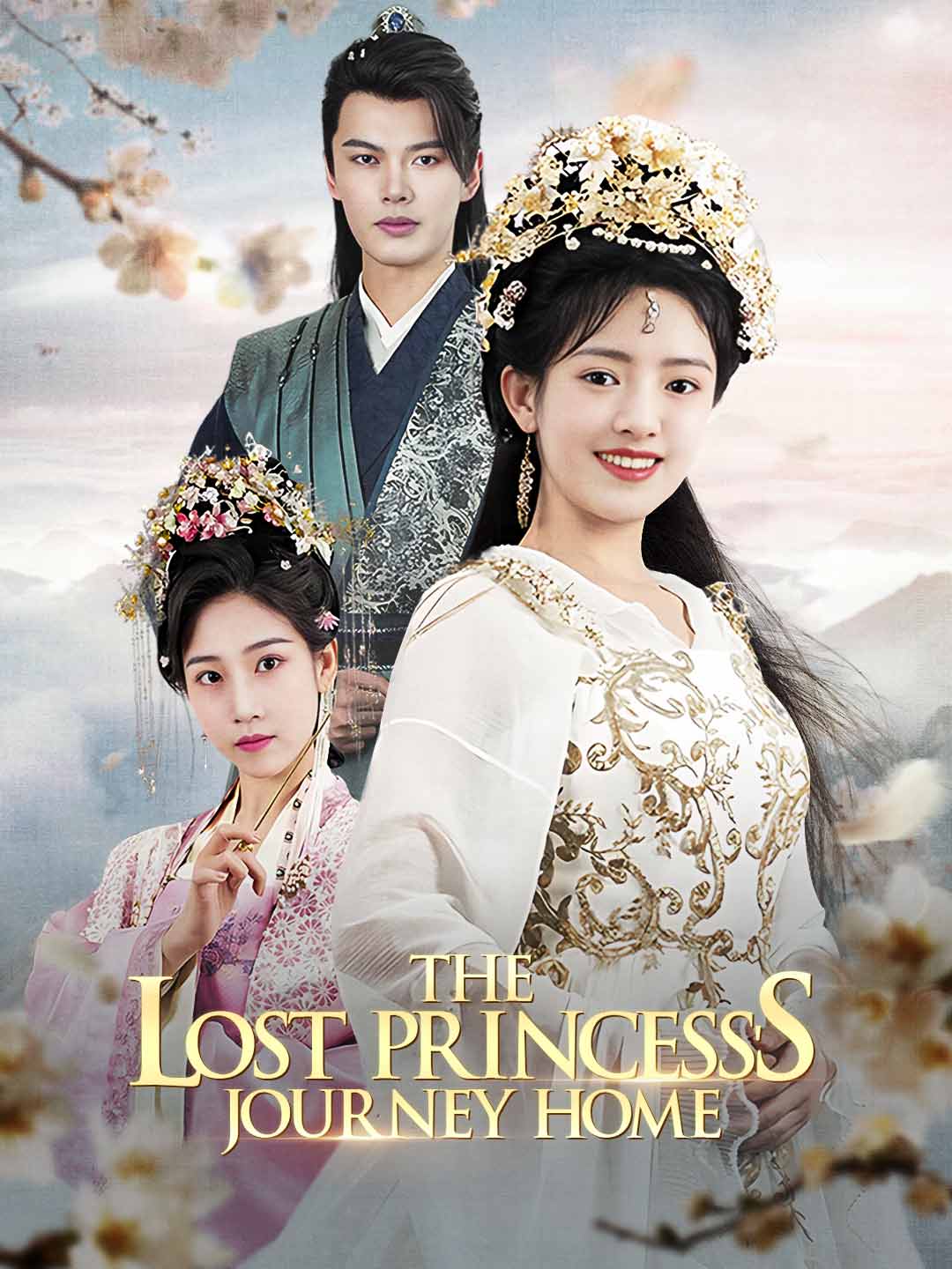 The Lost Princess's Journey Home cover