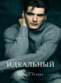 Идеальный