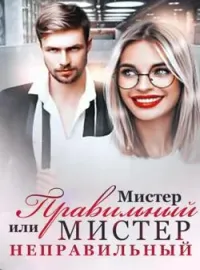 Мистер Правильный или Мистер Неправильный
