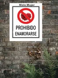 Prohibido enamorarse