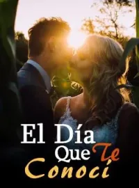 El Día Que Te Conocí