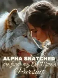Alpha Snatched Me From My Ex-Mate's Pursuit