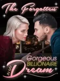 The Forgotten Gorgeous Billionaire in My Dream