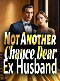 Not Another Chance, Dear Ex Husband