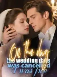 On the day the wedding date was cancelled, I was free