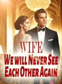 Wife, We will Never See Each Other Again