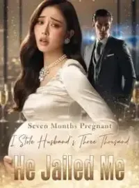 Seven Months Pregnant, I Stole Husband's Three Thousand, He Jailed Me