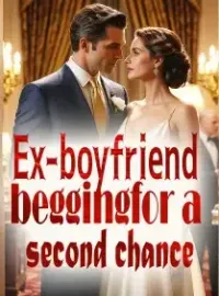 Ex-boyfriend, begging for a second chance