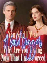 You Said I Was A Gold Digger, Why Are You Crying Now That I'm Divorced?