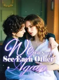 We Will Never See Each Other Again