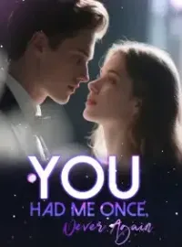 You Had Me Once, Never Again
