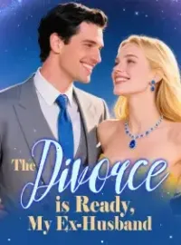 The Divorce is Ready, My Ex-Husband