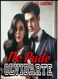 No Pude Olvidarte.