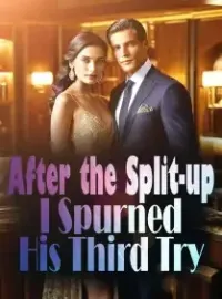 After the Split-up, I Spurned His Third Try