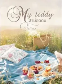 My teddy สามีติดดิน