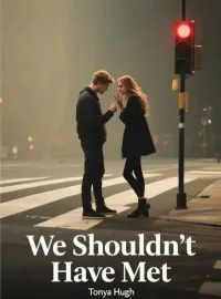 We Shouldn’t Have Met