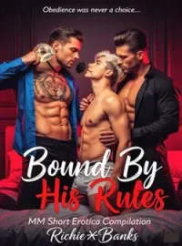 Bound By His Rules {MM Steamy Compilation}