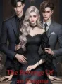 The Revenge of an Enigma cover