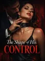 THE SHAPE OF HIS CONTROL cover