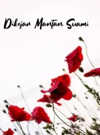 Dikejar Mantan Suami