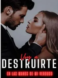VOY A DESTRUIRTE.
