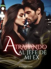 Atrapando al jefe de mi ex