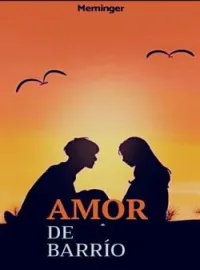 Amor De Barrio
