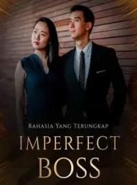 IMPERFECT BOSS