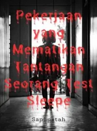 Pekerjaan yang Mematikan Tantangan Seorang Test Sleepe