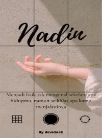 NADIN